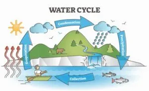 What is The Source of Energy in The Water Cycle