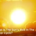 What is The Sun's Role in The Water Cycle