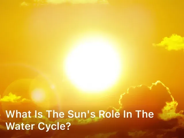 What is The Sun's Role in The Water Cycle?
