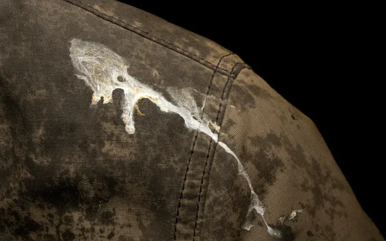 what does it mean if a bird poops on your arm,What does it Mean if a Bird Poops on You, biblical meaning of bird pooping on you,what does it mean when a bird poops on you,spiritual meaning bird poop on left shoulder meaning, What does it mean if a bird poops on your head, what are the chances of a bird pooping on you, seeing a bird poop meaning, what does it mean when a bird poops on your hand, bird poop on right shoulder meaning,