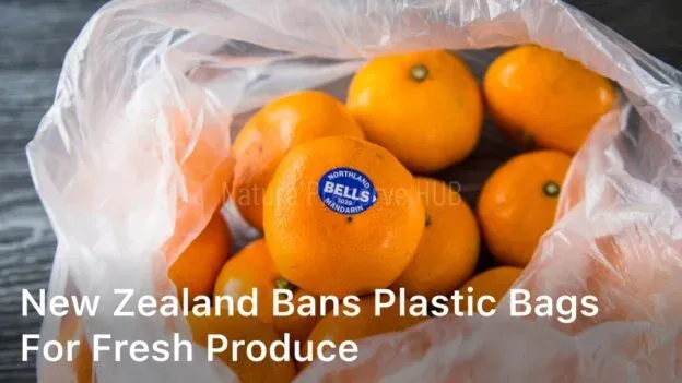 New Zealand Bans Plastic Bags