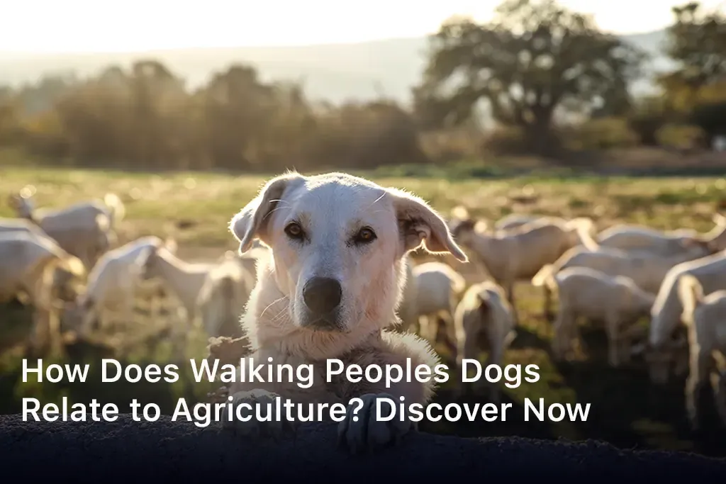 How Does Walking Peoples Dogs Relate to Agriculture